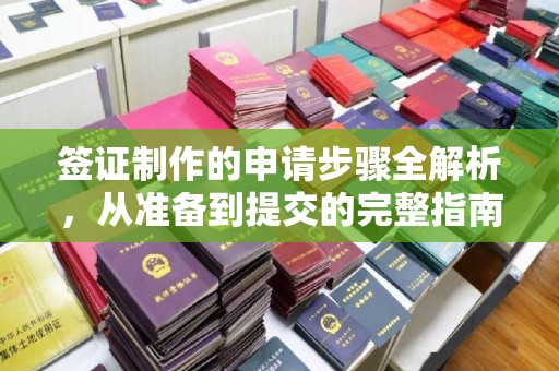 曲松签证制作的申请步骤全解析，从准备到提交的完整指南
